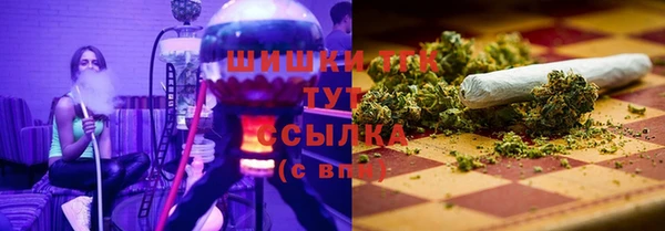крисы Алзамай