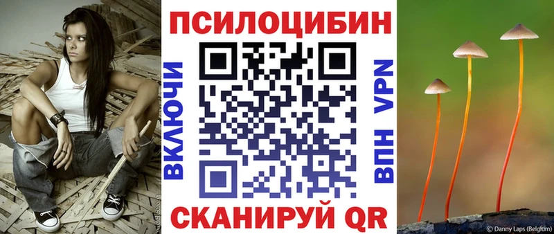 Псилоцибиновые грибы мицелий Усть-Лабинск