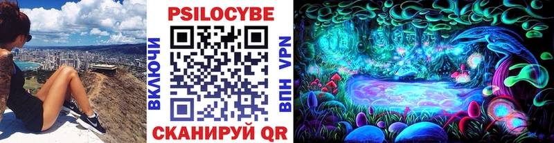 сколько стоит Усть-Лабинск маркетплейс телеграм Галлюциногенные грибы GOLDEN TEACHER
